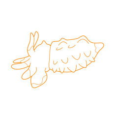 Animals Cephalopods Flamboyant Cuttlefish Stencil Svg Design File, Free Vectors File
